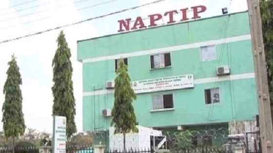 JAPA: NAPTIP lists top countries Nigerian youths are migrating to for better lives