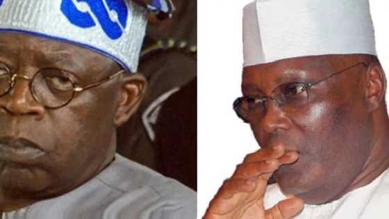 NASS Crisis: How Tinubu And Atiku Have Begun 2019 Presidential Battle
