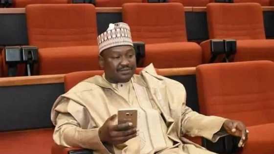 I didn’t make any allegation against Aisha Buhari - Misau cries out