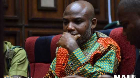 Biafra: Court refuses Kanu's application for release of passports