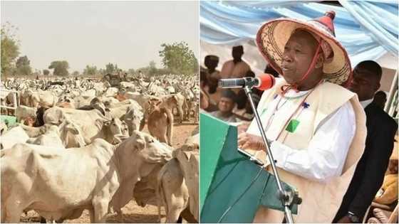 Rikicin makiyaya da manoma: Ganduje ya miƙa ma Makiyaya goron gayyata zuwa jihar Kano