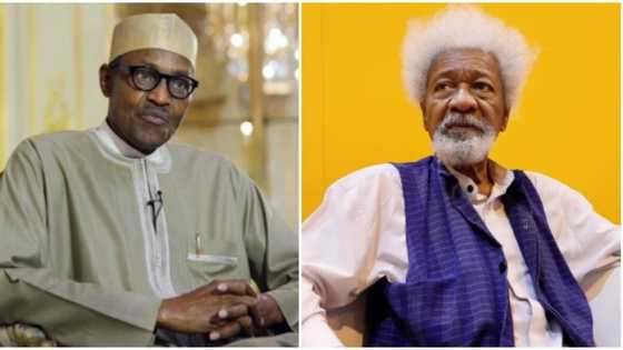 Doing this to Buhari administration is not helping my sanity - Wole Soyinka reveals