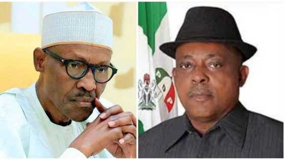 PDP zata kawo jihohin arewa 10 a 2019 – Sanatan Arewa