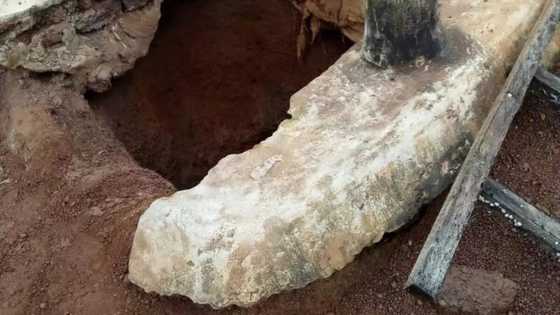 Ya jefa kan sa cikin rijiya: Duniya ta yiwa wani tsoho mai shekaru 70 zafi