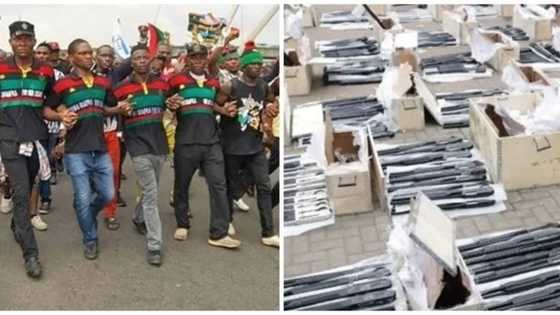 Buhari’s minister reveals alleged owners of double barrel rifles imported from Turkey