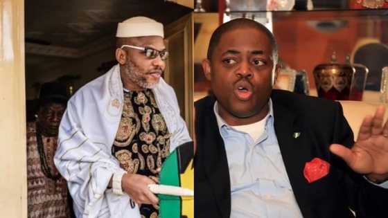 Nnamdi Kanu is not a nonentity - Femi Fani-Kayode