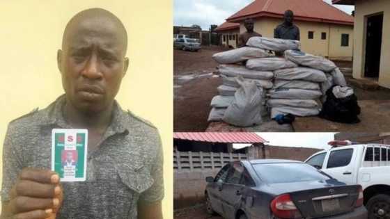 Hali zanen Dutse: Karanta abin da aka kama wani korarren jami’in DSS yana yi