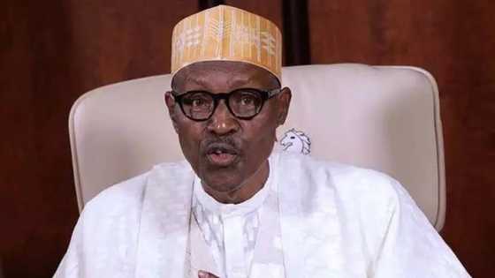Shugaba Buhari ya sake yin tsokaci akan matasan Najeriya