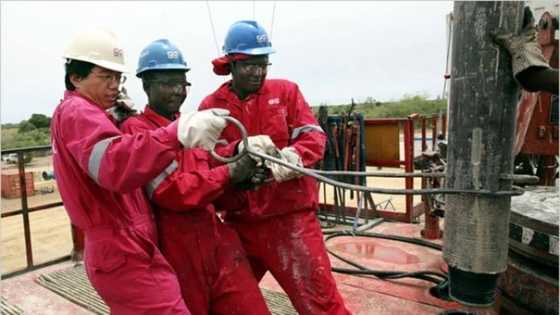 Nigeria's unemployment figures worsen as report reveals list of 50 Companies to have shut down in 5yrs