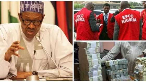 President Buhari sends warning to looters, vows total war