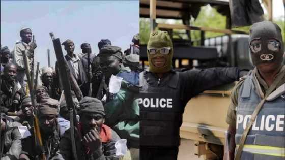 Police arrest driver who buys food, fuel for Boko Haram