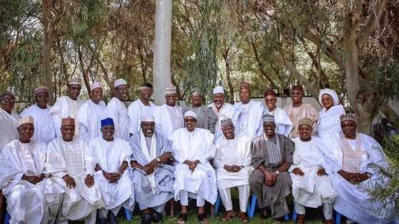 APC governors open up on their mission to visit President Buhari in Daura