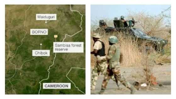 How safe is Sambisa forest now? Check details