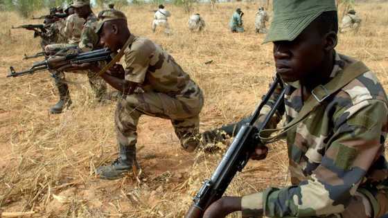 War?: Cameroon Troops Raid Nigeria, Massacre Villagers