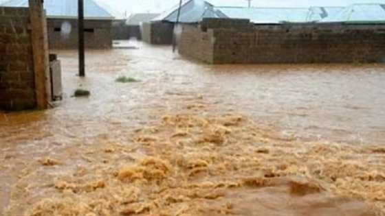 Akalla mutane 11 ne ambaliyar ruwa ta halaka a Nejar