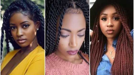 Best looks of African braids and twists hairstyles for real fashionistas