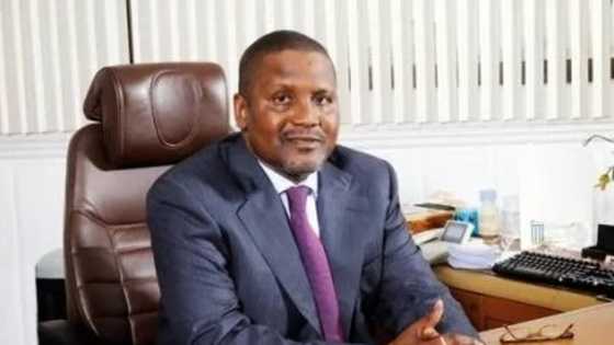 Dangote enjoyed tax waivers: Reactions trail Africa's richest man's rising wealth profile