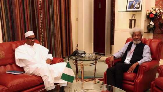 Jos killing: The time for false pride is over - Soyinka sends important message to President Buhari