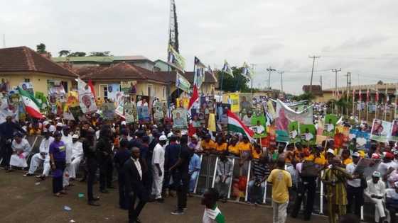 Siyasar Kano: 'Yan PDP na zanga-zanga kan dauki-dora da aka musu a Kano