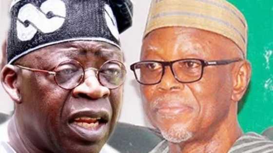 EXCLUSIVE: Panic in APC headquarters as Tinubu withdraws funding