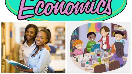 What is home economics ✍ ?