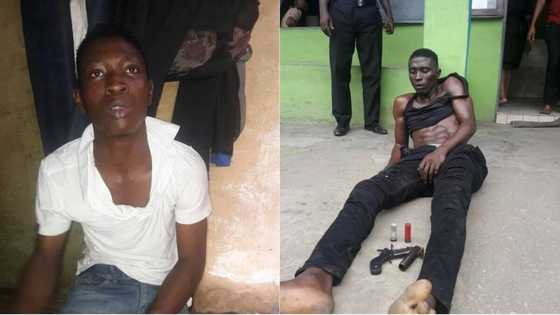 Police arrest most wanted cultist in Lagos