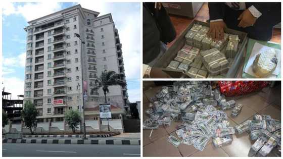 SEE names of 11 Nigerians who stay at Osborne Towers Ikoyi where $43.4million was found by EFCC