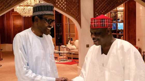 2019: Yadda fitar Kwankwaso daga APC ta girgiza jihar Kano