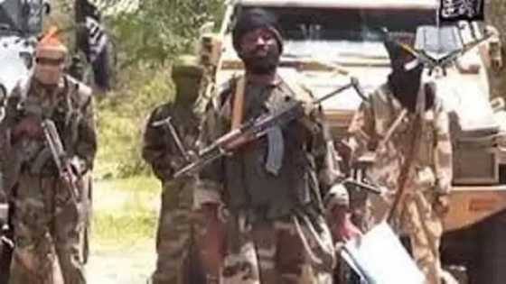 Boko Haram beheads 16 people in Cameroon
