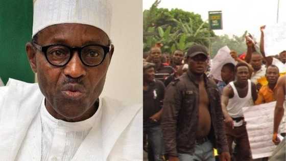 Thank you Mr president - Ex-militants praise Buhari