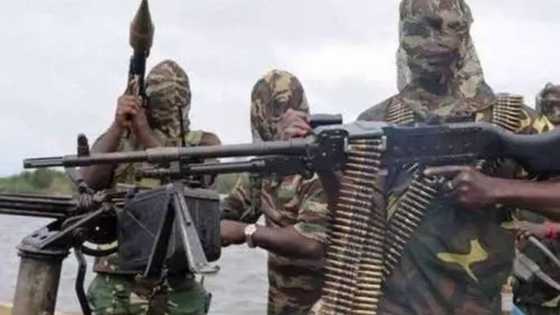 Five most deadly Niger Delta militant group threatening to destroy Nigeria