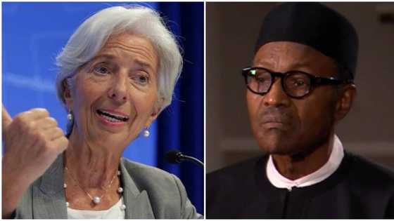 IMF worries over Nigeria’s ability to repay debts, offers solution