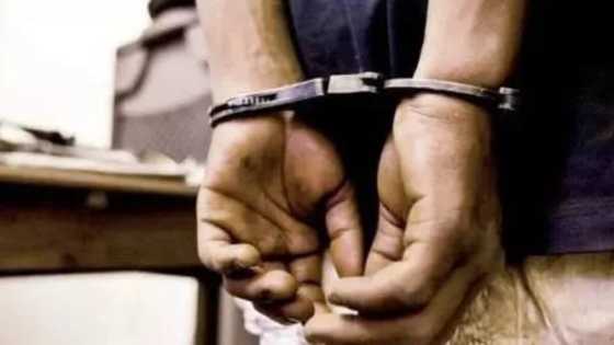 Wani bawan Allah ya halaka babban abokinsa kan Lemun kwalba na N150