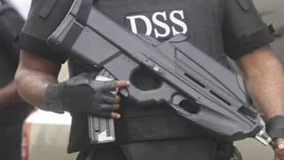 Karshen alewa kasa: Dubun wasu fitinannun masu garkuwa da mutane ta cika, Jami’an DSS sun halaka su