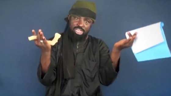 Revealed: Boko Haram founder’s son replaces fatally injured Shekau