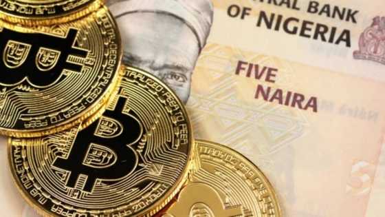 Cryptocurrency aids kidnapping, terrorism, banditry in Nigeria - ICPC