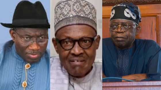 Goodluck Jonathan, Tinubu and 7 other top politicians who may want President Buhari's job in 2019