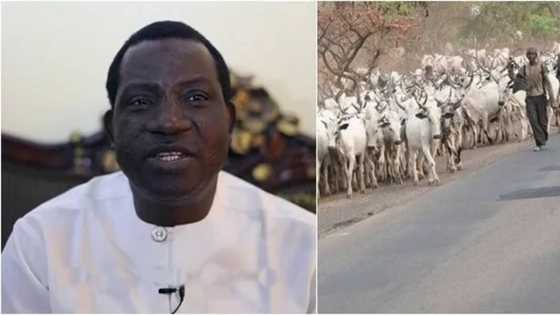 Breaking: Governor Lalong denies alleged secret deal with herdsmen, rejects cattle colonies in Plateau state