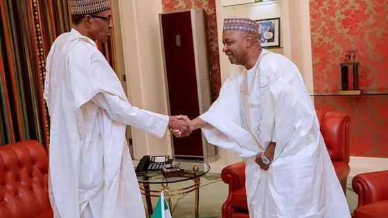 Yanzu - Yanzu: Shugaba Buhari, Osinbajo sunyi ganawar sirri da tsohon mataimakin shugaban kasa, Namadi Sambo