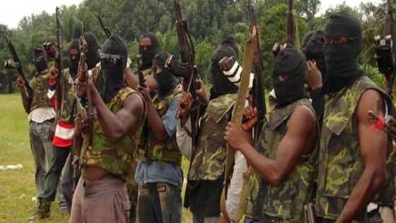 FG takes serious action as company steals money meant to train ex-Niger Delta militants