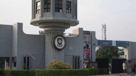 1 Nigerian university listed among top universities in the world