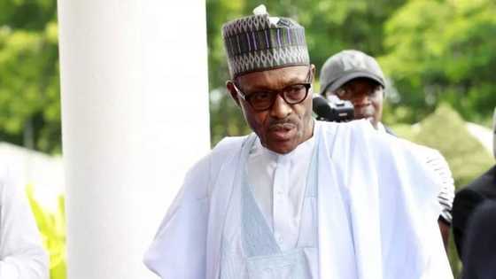 Buhari Finally Addresses “Baba Go Slow” Remarks