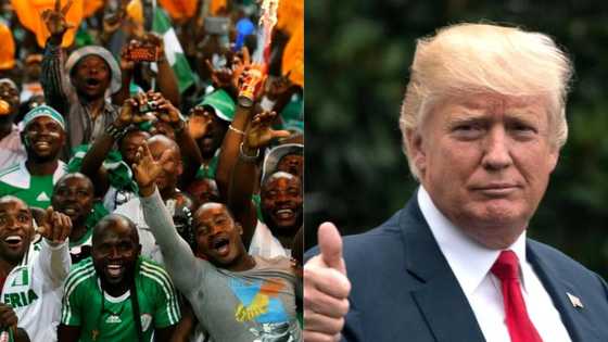 Report shows Nigeria has 5th highest share of Trump followers on Twitter