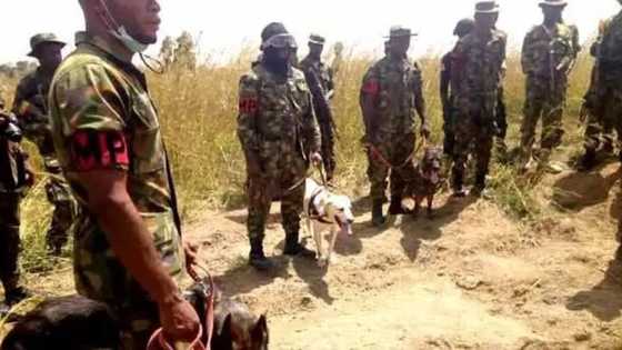 Neman gawar Janar Alkali: Soji sun sami kabari maras zurfi a kusa da Jos, ko shine?