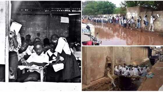 The most educated states in Nigeria: the top result shocks most Nigerians