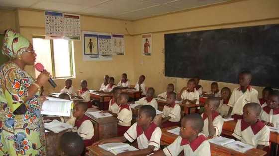 FG approves use of Yoruba, Hausa, Igbo, other languages in primary schools
