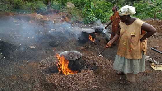 Masu amfani da na'urar Microwave wajen girki na iya kamuwa da cututtuka 12 zamani