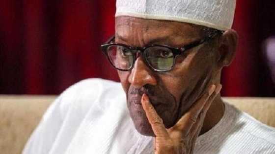 Da dumi dumi: Buhari ya tofa albarkacin bakinsa game da ficewar su Kwankwaso daga APC