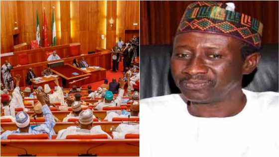 Senate grills NSA Monguno over incessant killings, okays more security funding