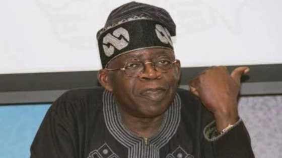 Riginginmu shida a APC da zasu yiwa kwamitin Tinubu wahalar sulhuntawa